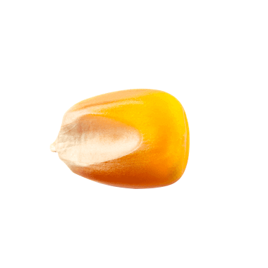  Glutamine naturelle