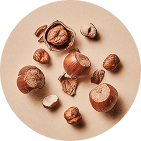  Noisettes