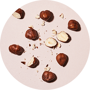 Noisette