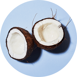 Noix de coco