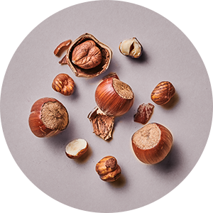 Noisette