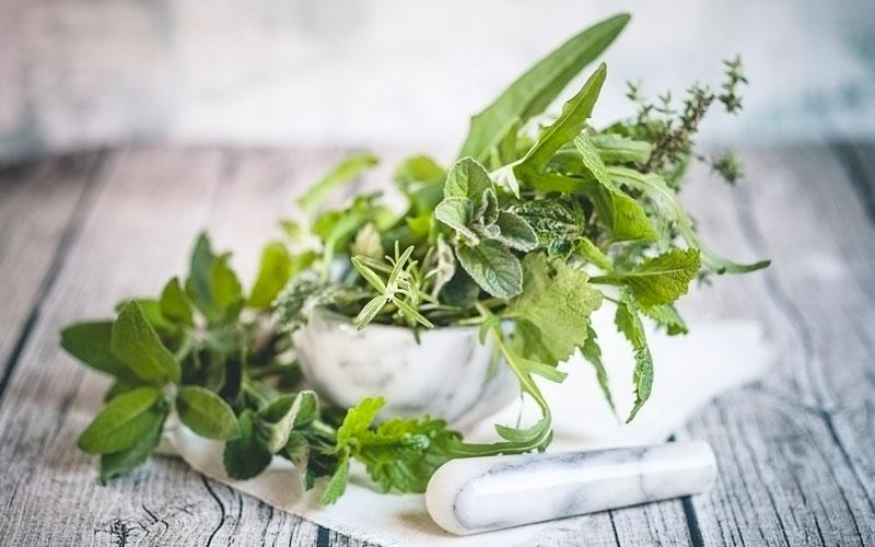 Herbs: From kitchen flavors to natural remedies