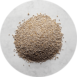 Graines de chia